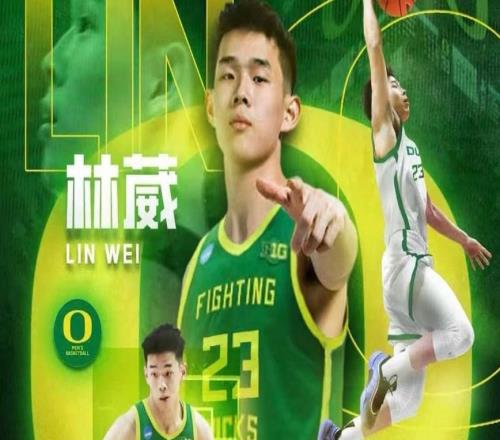 6战29中7被弃用！林葳枯坐板凳前景黯淡CBA本土得分王遭批能力差
