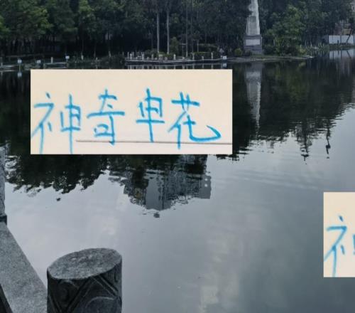 神奇申花！没有一个人进球双位数但他们进攻仅次于67球海港