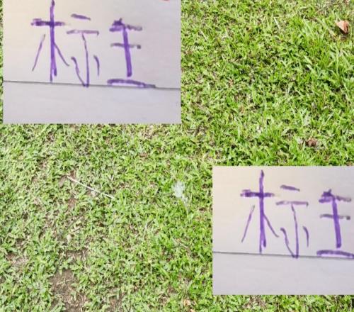 今年标王北京国安达万没入选中超最佳候选而去年标王泽卡则入选