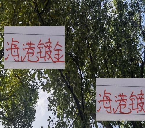 中超BIG4谁最强不是海港穆斯卡特而是成都蓉城徐正源