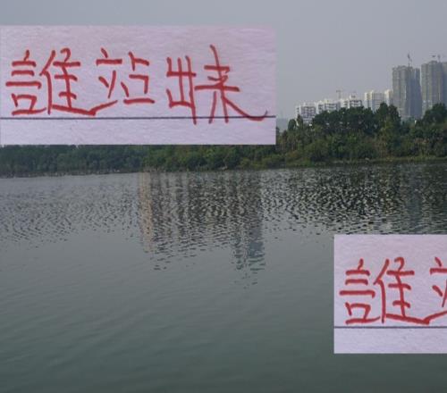 去年打山东都是球王武磊站出来今年海港跟山东生死战谁站出来