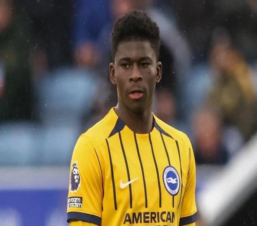 记者：布莱顿一月不会放走巴莱巴，曼联必须继续保持耐心