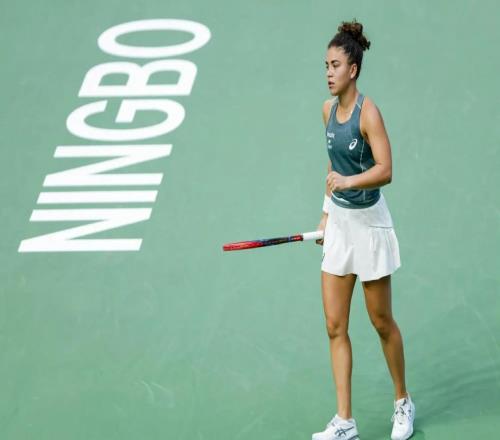 鲍里妮逆转本西奇总决席席位稳了？网友：得看莱巴金娜是否答应