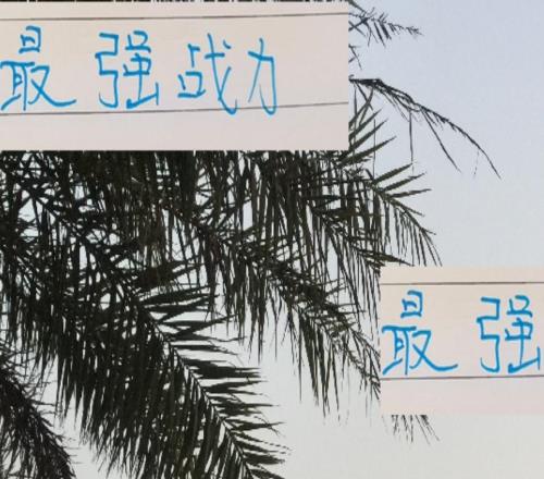 最强战力都在包厢情况下！申花进攻和防守都排第二前俄教练厉害