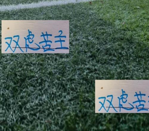 卡扎真是上海双虎苦主！他打申花进了3个球打海港又进球