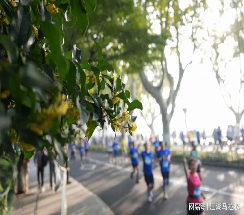 马拉松“遍地开花”？分明就是“遍地插花”