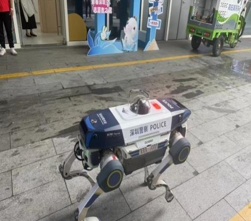 十五运会排球比赛将在深圳启动 广东队超过半数队员来自深圳