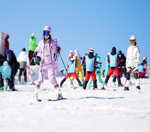 新雪季大幕开启，雪场有何创新亮点？