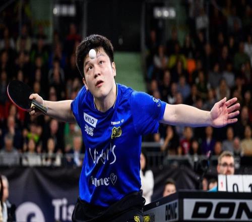 德国杯登顶收获留洋首冠，樊振东的收获远不止赢球