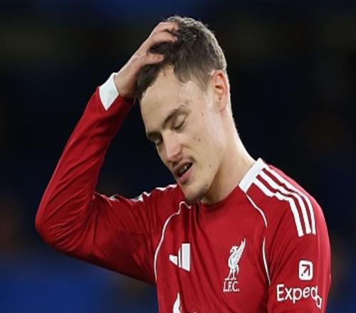 范戴克谈维尔茨：他需要时间来适应，一切都会水到渠成