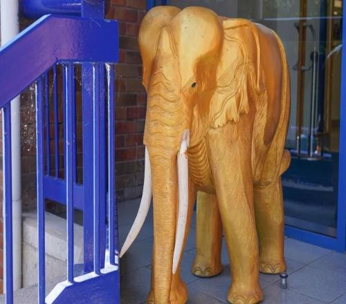 泰晤士报：谢周三计划拍卖球场的标志性金象以筹集资金