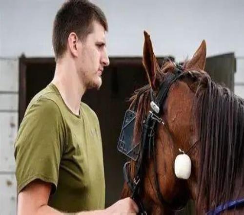 马刺复仇尼克斯，约基奇的伤有多可惜