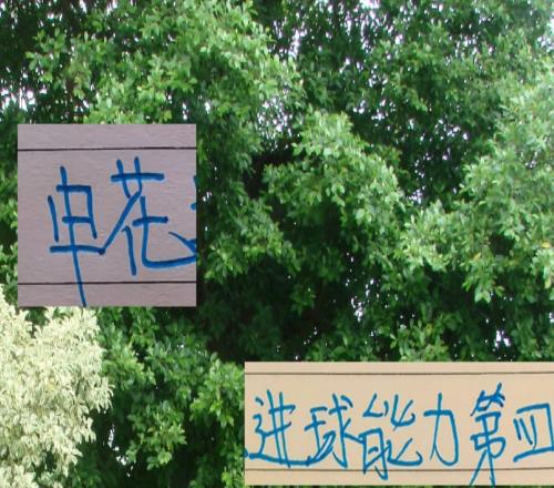 申花进球能力中超第四但外援没一个进射手前10真是内援带外援踢